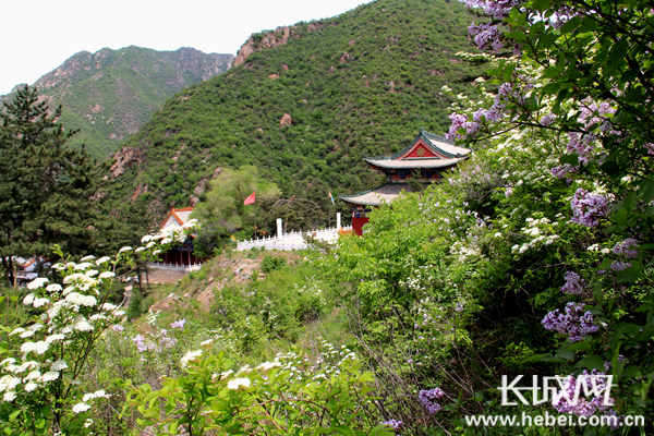 "京西第一自然保护区"——赤城县大海陀旅游景区