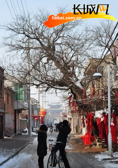 大名县人口查闫一龙_邯郸大名县浇地电价过高,农民负担加重(2)