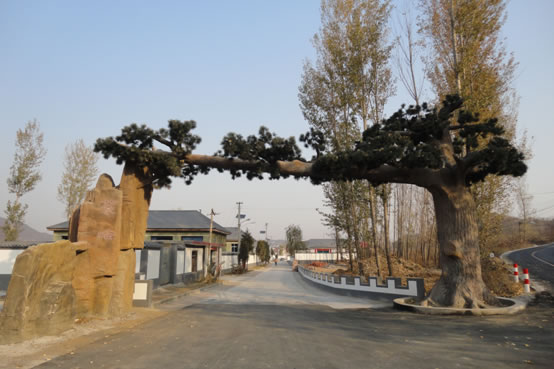 青龙县人口最多村_青龙县蛇盘兔村山景