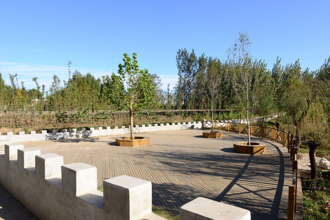 华西村人均收入_安平镇年人均收入(2)