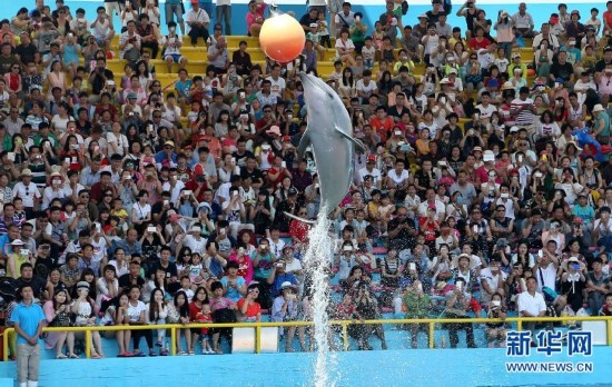 十一长假旅游_端午小长假旅游收入(3)