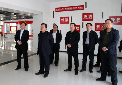 省政协秘书长郭大建来我区调研市领导唐树森武卫东区领导罗利民等陪同