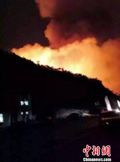 �ӱ�Ǩ������ɽ�羰��ͻ��ɭ��ɽ��ͼ��