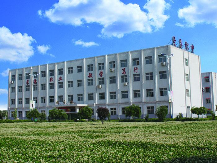 衡水市职业教育学校巡礼-衡水市,职业教育,学校
