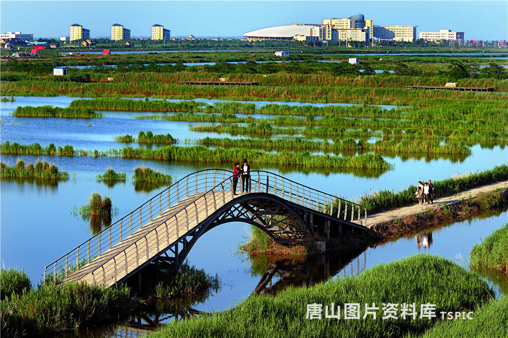 曹妃甸湿地公园