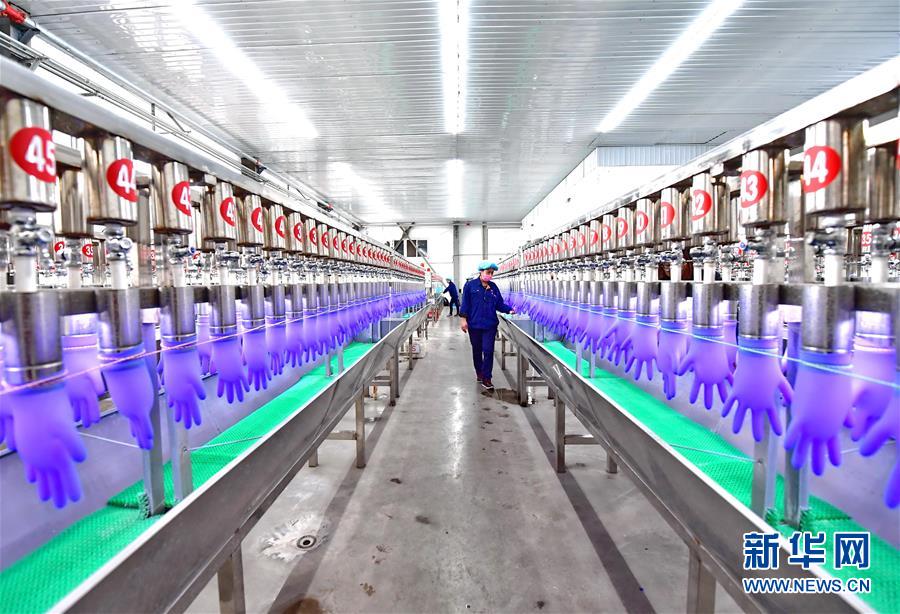 滦南打造医疗手套生产基地