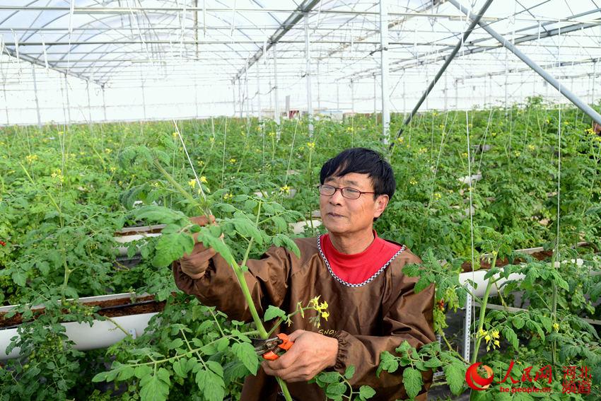 河北威县:春分将至 春耕春管农事忙