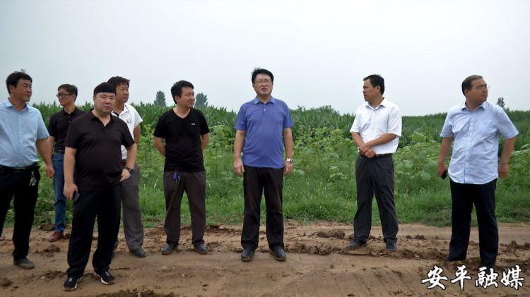 安平县长范庆法调度垃圾处理发电项目推进工作