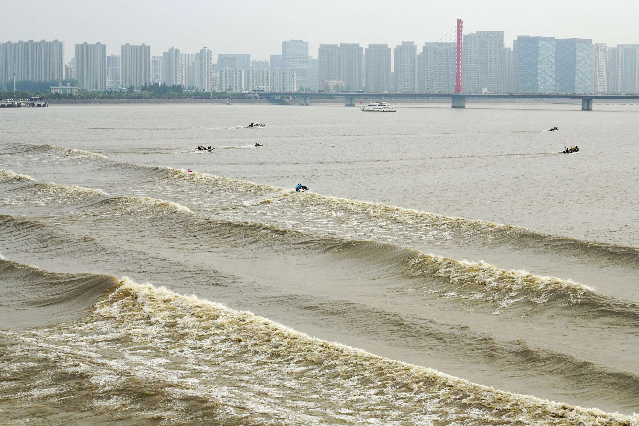 杭州钱塘江迎来大潮汛冲浪高手江上弄潮