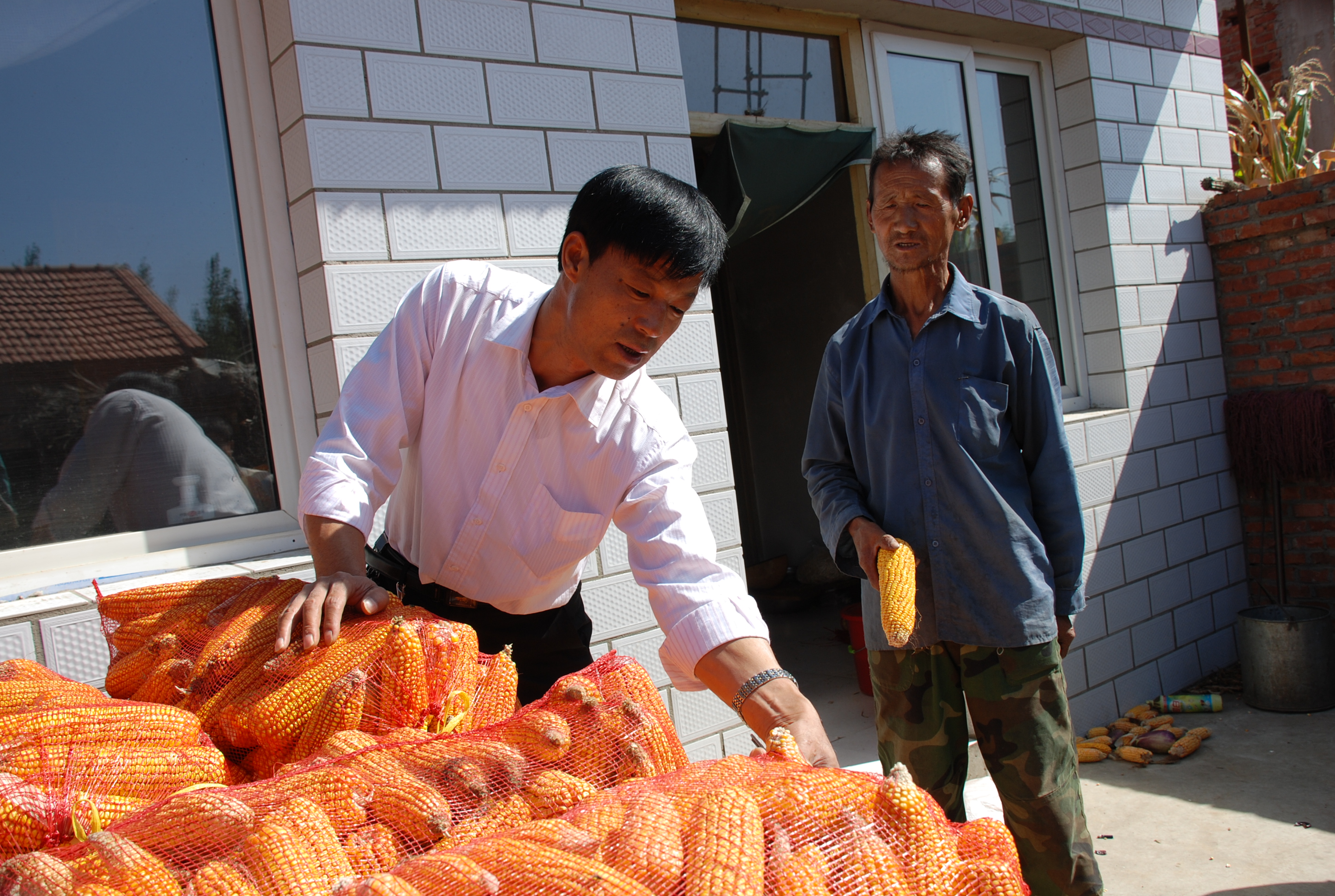 拼将血汗铸党魂—承德市平泉县郭杖子乡金杖子村党支部书记金旭东的