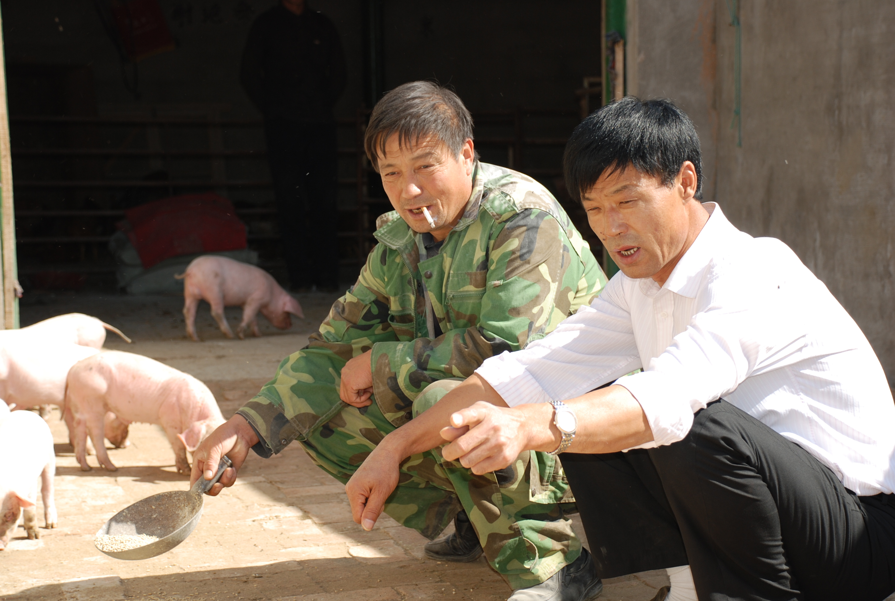 拼将血汗铸党魂—承德市平泉县郭杖子乡金杖子村党支部书记金旭东的